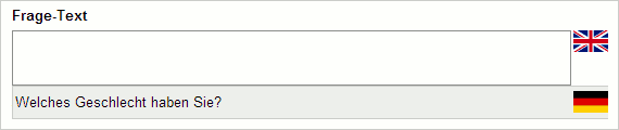 scr.translation.textinput2.png