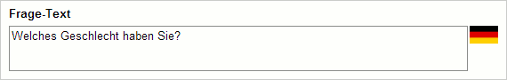 Eingabe mehrsprachiger Texte (3)