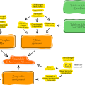 mailing.process.png